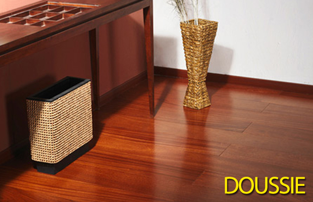 Parquet Doussiè